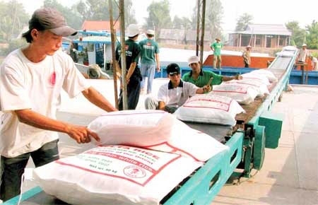 Áp lực trả nợ khiến doanh nghiệp phải bán tháo gạo - Ảnh minh họa.