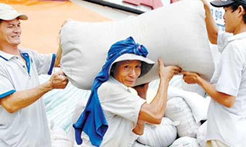 Xuất khẩu gạo Việt sắp phá kỷ lục 2011