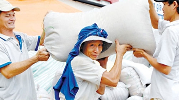 Xuất khẩu gạo Việt sắp phá kỷ lục 2011