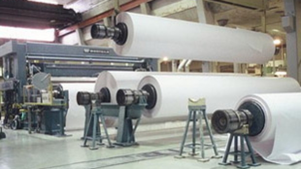 Ngành giấy lao đao: Cứu nguy cách nào?