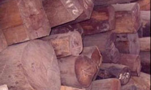 Bác bỏ cáo buộc sai lệch về ngành gỗ Việt Nam