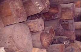 Hàng năm lượng gỗ nhập khẩu từ Lào chỉ chiếm một phần rất nhỏ trong tổng lượng gỗ nhập khẩu của Việt Nam.