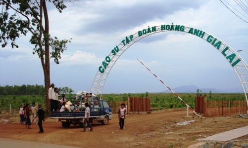 HAGL hoãn hoán đổi 200 tỷ đồng trái phiếu thành cổ phiếu HNG