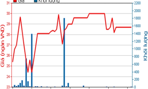 Tập đoàn Đầu tư IPA muốn nắm 20% cổ phần của HOT