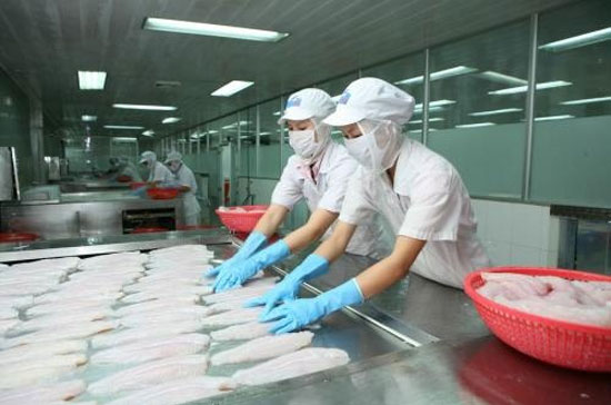 Trong 5 tháng đầu năm 2012, xuất khẩu thủy sản đạt 2,3 tỷ USD - Ảnh: HVG.