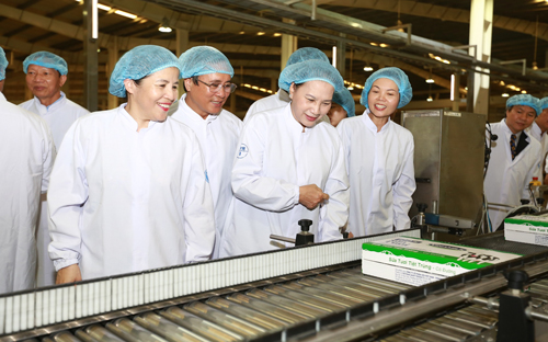 Chủ tịch Quốc hội Nguyễn Thị Kim Ngân cùng bà Mai Kiều Liên - Tổng giám 
đốc Vinamilk tham quan dây chuyền sản xuất của nhà máy Sữa nước Việt 
Nam.<br>