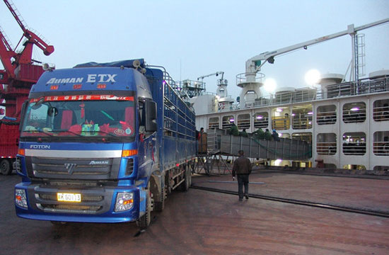 Vận chuyển bò để xuất khẩu của một doanh nghiệp Úc - Ảnh: The Wall Street Journal.