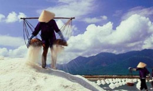 Hỗ trợ 100% lãi suất vay vốn đầu tư sản xuất muối