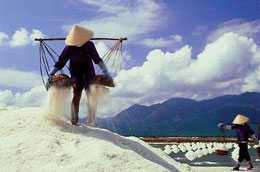 Thời gian qua, giá muối giảm mạnh gây khó khăn trong sản xuất và đời sống của diêm dân.