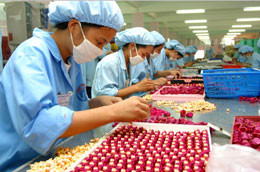 Hàng năm, các doanh nghiệp, cơ sở sản xuất thu hút khoảng hơn 1 triệu lao động - Ảnh: Việt Tuấn.