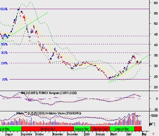 Biểu đồ VN-Index từ tháng 8/2008 đến đầu tháng 5/2009.