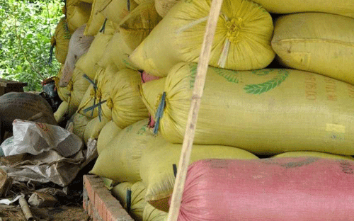 LienVietPostBank là một trong số ít ngân hàng thương mại được Ngân hàng 
nhà nước cho phép thực hiện thu mua tạm trữ thóc gạo vụ hè thu năm nay.