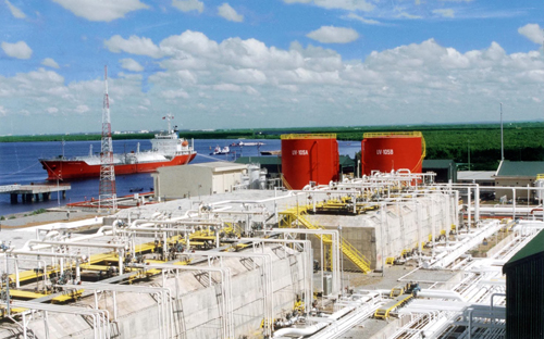 Tổng công ty Khí Việt Nam - doanh nghiệp nhiều năm liền đứng trong top 10 của V1000, năm nay đạt vị trí thứ 3. 