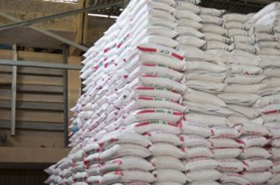 Nghị định 109 quy định, thương nhân muốn kinh doanh xuất khẩu gạo phải có ít nhất một kho chuyên dùng với sức chứa tối thiểu 5.000 tấn lúa.