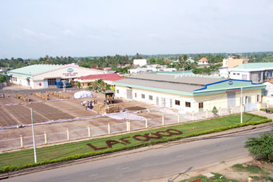 LAF lãi 83,92 tỷ đồng, EPS trong năm 2010 đạt 7.926 đồng. 