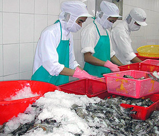 Năm 2004, kim ngạch xuất khẩu thủy sản của Việt Nam vào thị trường Nga mới chỉ đạt khoảng 30 triệu USD, đến năm 2008, con số này đã tăng vọt lên tới trên 200 triệu USD.