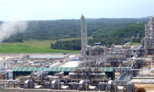 Nhà máy Lọc dầu Dung Quất tạm ngừng hoạt động