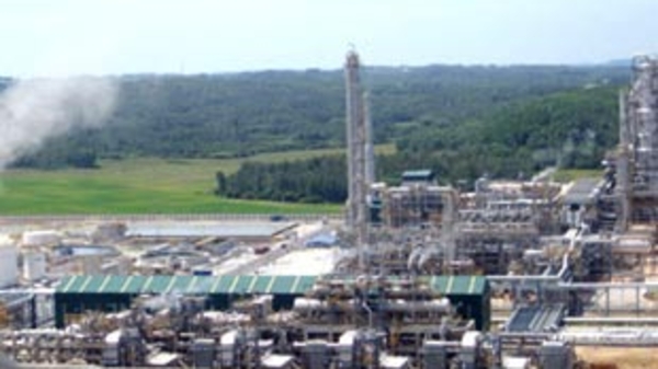 Nhà máy Lọc dầu Dung Quất tạm ngừng hoạt động