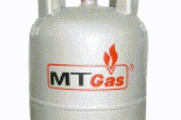 Năm 2010, MTG lãi 1,4 tỷ đồng, hoàn thành 4% kế hoạch lợi nhuận năm.