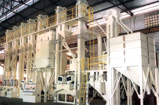 Công ty chỉ thực hiện hoạt động xay xát, đánh bóng gạo chứ không thự hiện chế biến lương thực, thực phẩm.