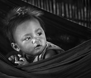 Từ 1/1/2010, tác phẩm nhiếp ảnh sẽ có thời hạn bảo hộ là 75 năm- Ảnh minh hoạ.