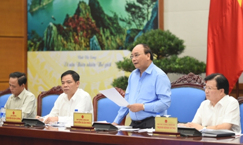 Thủ tướng: Chú ý tình trạng hợp thức hóa “đất vàng” có rừng