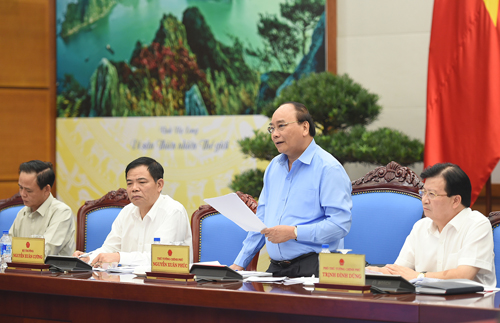 Thủ tướng biểu dương chủ trương xã hội hóa nghề rừng đã dần được hiện thực hóa, nâng cao thu nhập, sinh kế cho người làm nghề rừng.&nbsp;