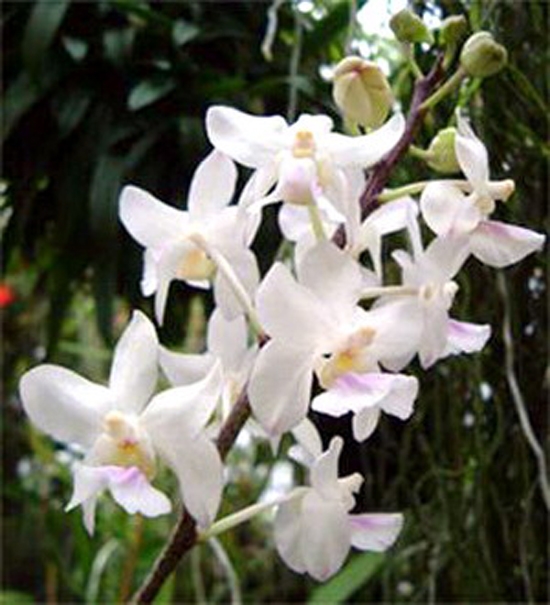 Sản phẩm của Công ty Ngân Sơn.