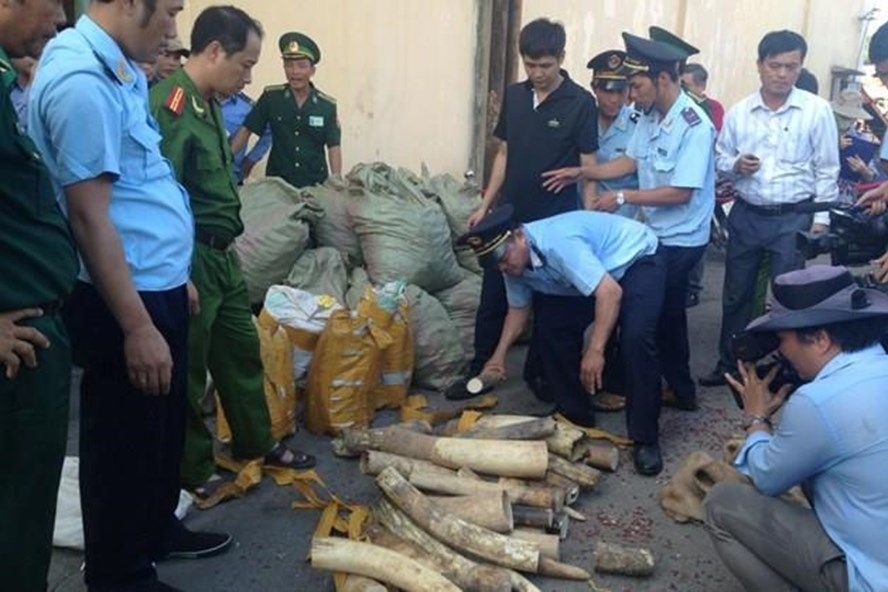 Một vụ bắt buôn lậu ngà voi - Ảnh minh họa.<br>