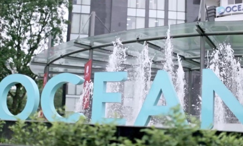 Lỗ luỹ kế gần 2.500 tỷ, cổ phiếu OGC chỉ được giao dịch phiên chiều