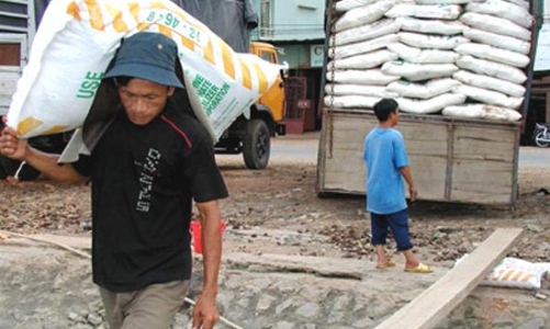 Giá phân bón chỉ “sốt giả”