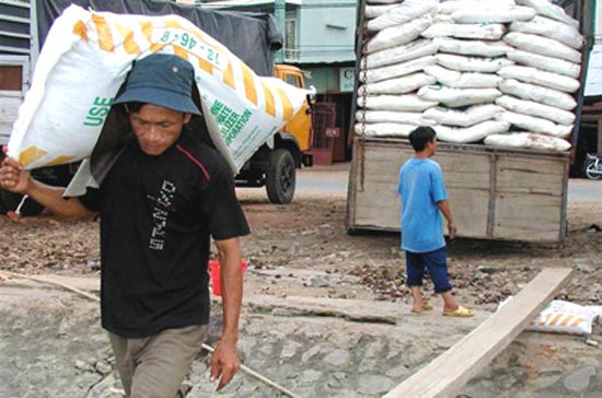  Giá urê tại phía Bắc và miền Trung cũng trong xu hướng tăng: tại Hà Nội giá urê đạt 6.200 đồng/kg. Giá phân DAP cũng tăng theo xu hướng chung, mức tăng trung bình từ 100-200 đồng/kg, dao động 6.800-10.000 đồng/kg.