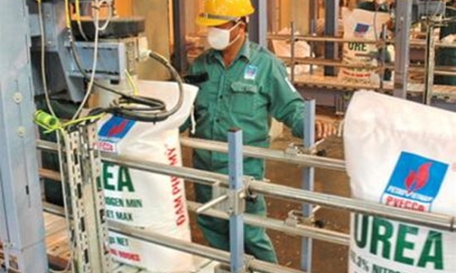 Nhắm đến Myanmar, DPM dự kiến lập văn phòng đại diện