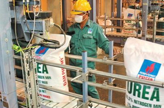 DPM cho biết, trong tháng Sáu này sẽ cung ứng khoảng 130.000 tấn đạm ra thị trường.