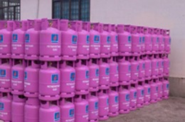 EPS 6 tháng đầu năm 2011 của PGS đạt 4.155 đồng, bằng 251% kế hoạch năm (3.307 đồng).