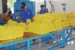 Giá bán bình quân 8 tháng năm 2011 của DPR đạt 96 triệu đồng/tấn.