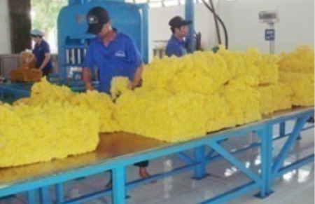 Mức lương bình quân năm 2011 của PHR đạt 9.545.116 đồng/người/tháng (cao hơn 2.701.735 đồng so với năm 2010). 
