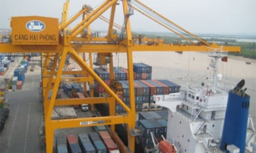 Doanh nghiệp tạm nhập tái xuất sẽ đóng cửa hàng loạt?