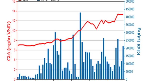 “PVF tiếp tục làm việc với Vinashin và Vinalines để thu nợ”