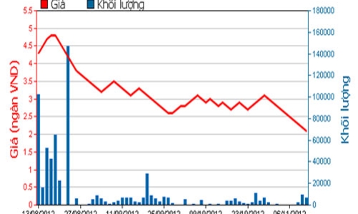 Cổ đông SBS không thông qua đề án tái cấu trúc