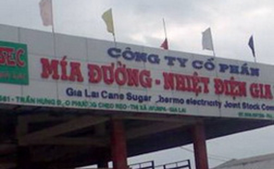 Năm 2011, SEC dự kiến chia cổ tức từ 40 - 50%/vốn điều lệ