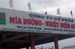 SEC dự kiến lợi nhuận sau thuế đạt 95 tỷ đồng trong năm 2011.