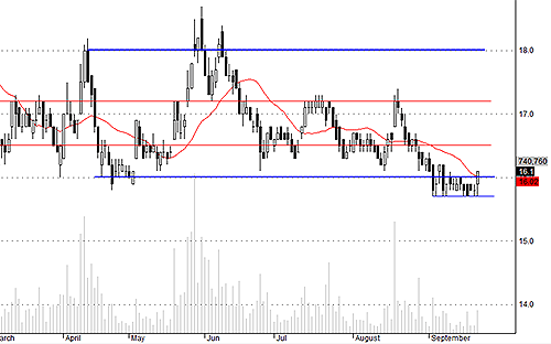 SSI bất ngờ được cầu nội đẩy lên mạnh.