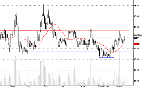 Blog chứng khoán: Cổ phiếu đầu cơ tăng “bốc” 5