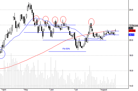 SSI đang thể hiện sức mạnh tốt.
