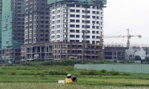 Không thể trao toàn quyền quyết định giá đất cho địa phương