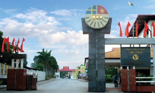 Lỗ lũy kế, Tổng công ty Giấy thay đổi lãnh đạo