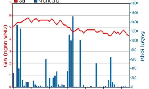 Tổng giám đốc muốn nắm giữ gần 19% vốn tại TMT