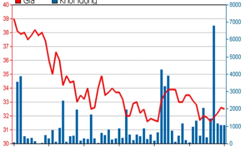 Lịch trả cổ tức bằng tiền tháng 2/2012