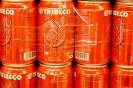 Quý 2/2011, TRI lỗ tiếp 9,097 tỷ đồng.